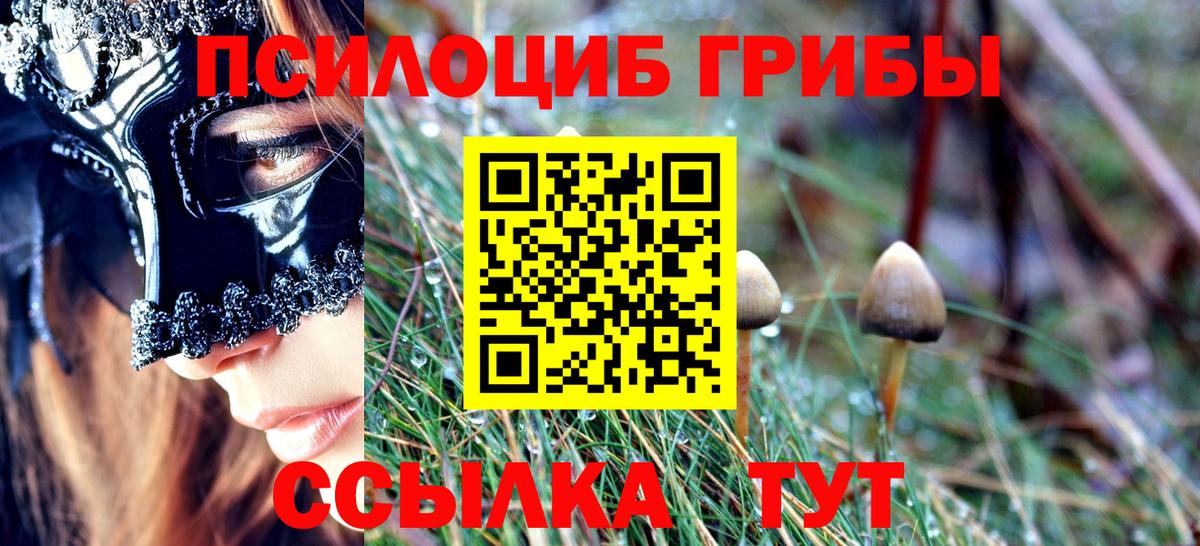 Галлюциногенные грибы прущие грибы  Вход с VPN  Светлоград 