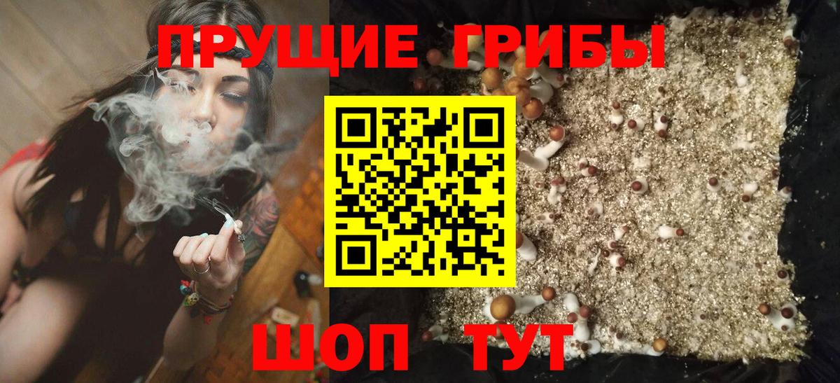 Галлюциногенные грибы MAGIC MUSHROOMS Светлоград